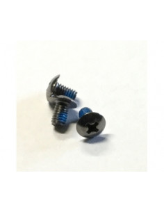POWERSLIDE TORNILLO GUIA (PHILIPS HEAD) L6, M4