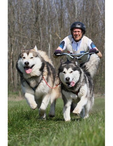 MUSHING YEDOO (DIAMETRO 28,6)