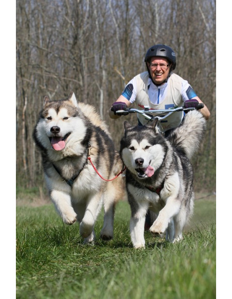 MUSHING YEDOO (DIAMETRO 28,6)